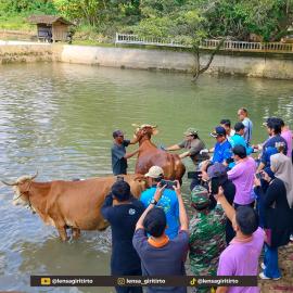 Kegiatan Pemkab Gunungkidul 
